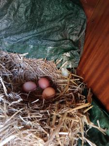 Sejours chez l'habitant Etre a LEZ : photos des chambres