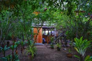 The Travel Tree Hostel