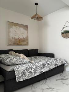 Appartements Le petit nid Toulousain : photos des chambres