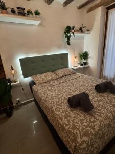 La Curiosa del Casc Antic