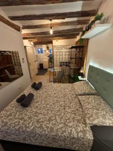 La Curiosa del Casc Antic