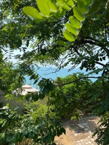 Дача Фонтанка