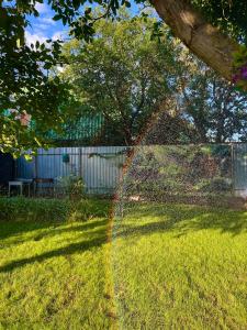 Дача Фонтанка