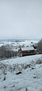 Chalets Chalet des Fouilloux : photos des chambres