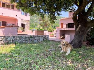 Casa di Campagna Il Micio