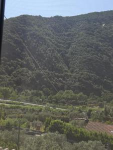 Regina Margherita affittacamere