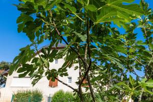 Appartements T3 Aramits Pyrenees Bearnaises : photos des chambres