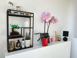 Appartements Cozy Home La Defense U Arena long sejour aussi : photos des chambres