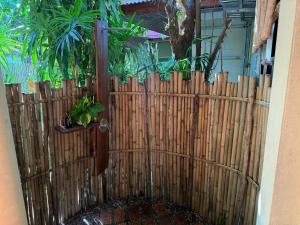 Natural Wing Health Spa and Resort