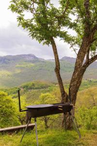 Micanovic Family House