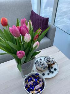 Lunar Igloos - Lumi - Ellivuori Resort