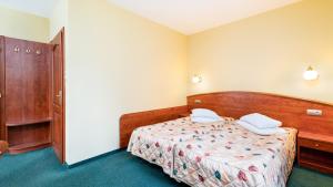 Comfort Double or Twin Room room in Hotel Halny