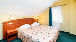 Superior Double Room room in Hotel Halny