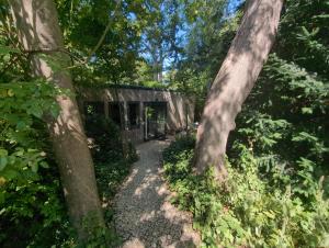 Best of both worlds, trees & town