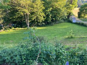 Campings Emplacement pour toile de tente : photos des chambres