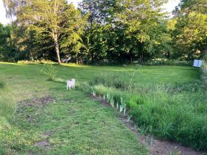 Campings Emplacement pour toile de tente : photos des chambres