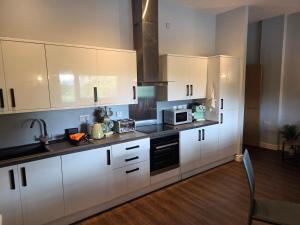 Luxury City Center Apartment