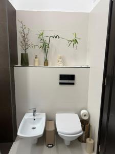 Nature-Inspired Stay in Piata Sfatului Brasov