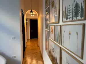 Nature-Inspired Stay in Piata Sfatului Brasov