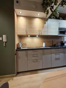 Oliwkowy - stylowy Apartament w naturalnym klimacie