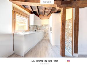 -SILVER- by myhomeintoledo