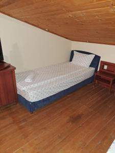 Стария Чинар