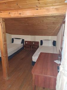 Стария Чинар