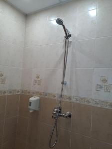 Стария Чинар