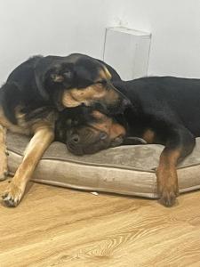 Room in City near Hospital