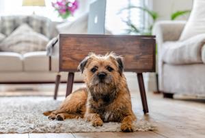 4 Bed in Swanage oc-t32439