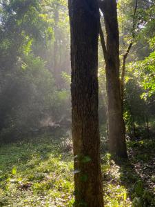 Forests for People Nidikumba Safari