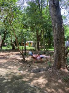 Forests for People Nidikumba Safari