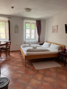 Penzion-apartmán Souček