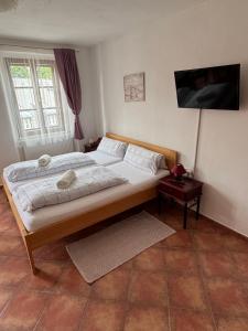 Penzion-apartmán Souček