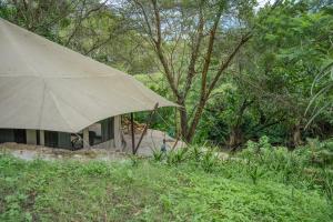 Dolly Farm & River Camp, Luxury Tents