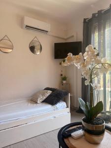 Agréable - Studio Plage & Soleil