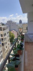 Durres Volga rruga Anastas Dursaku 60