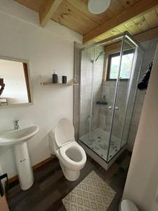 Luz de Luna Antilhue