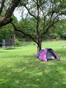 ReziPava Camping