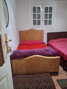 The pyramids vista inn