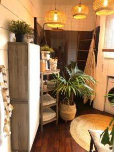 Maisons de vacances Maison ambiance cabane exotique climatisee piscine & spa 3 chambres 6 personnes : photos des chambres