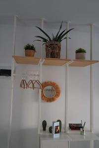 fuglamare - Studio 2