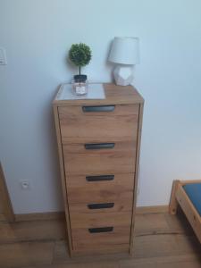 WadiFart Noclegi u Łukasza