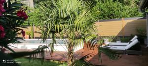 Villas Toulousaine calme espace detente : photos des chambres