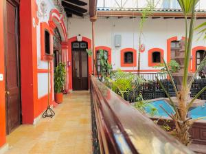 Habitación en el centro de Xalapa