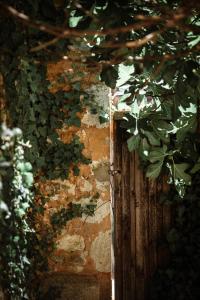 B&B / Chambres d'hotes Suites de Bruoux : photos des chambres