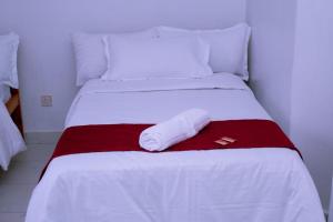 Entire Fully furnished Villas in Kisii