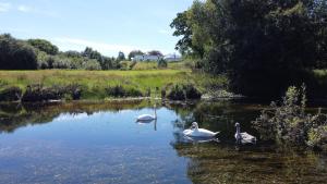 Laune View at Tullig House & Farm