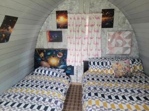 Shannon Estuary Glamping Budget-Sustainable-Biodiversity Habitat--Rustic-Countryside Holiday Accommodation