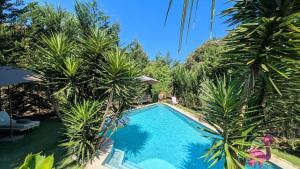 Appartements Suite avec entree Independante - Jardin prive 200m plage : photos des chambres